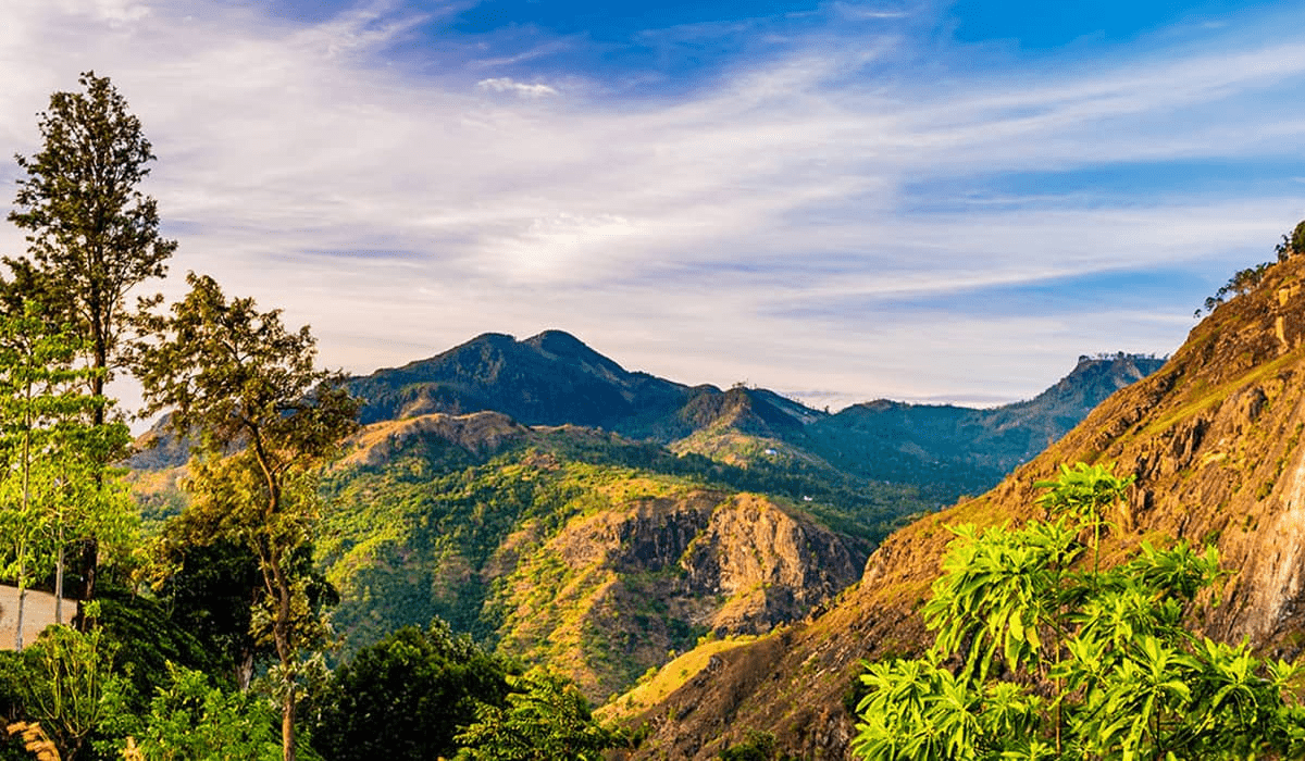 Minneriya National Park