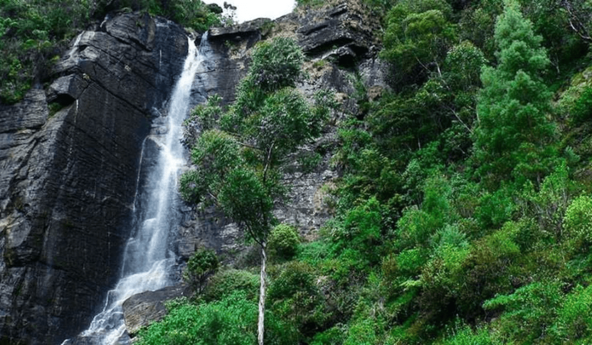 Water Falls - Sri Lanka