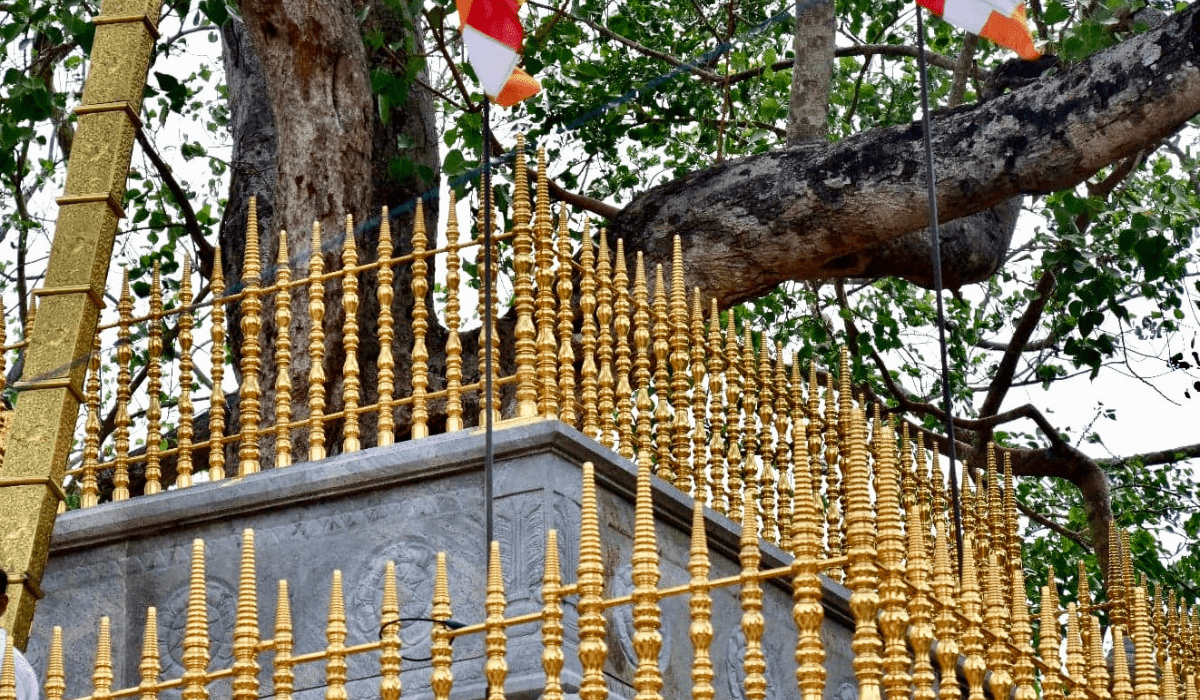 Sri Maha Bidhi-.-Kindgom-of- Anuradhapura